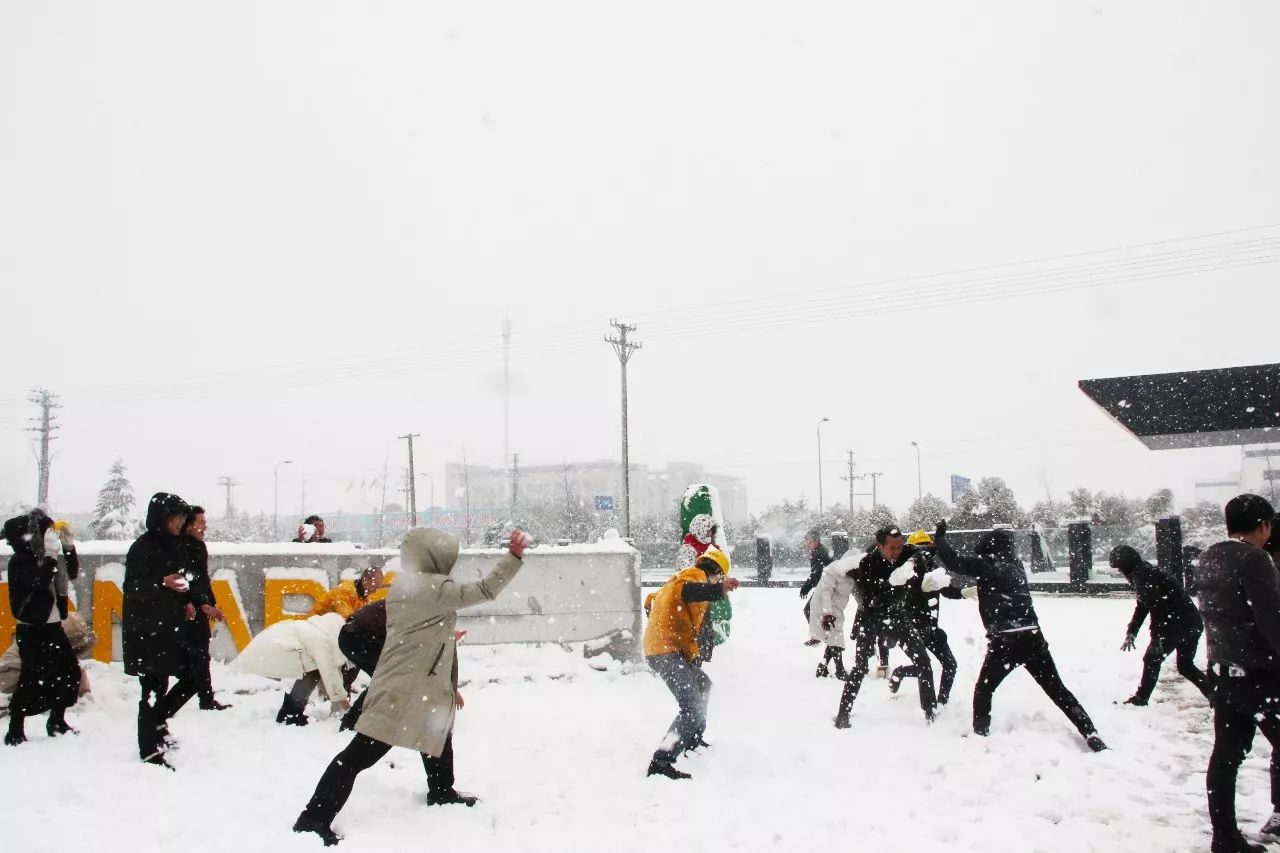 bti体育·(中国)官方网站 - APP下载