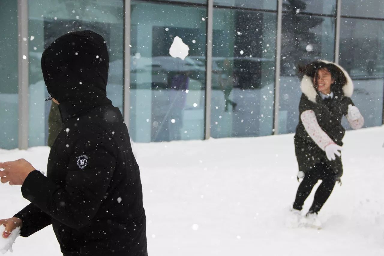 bti体育·(中国)官方网站 - APP下载